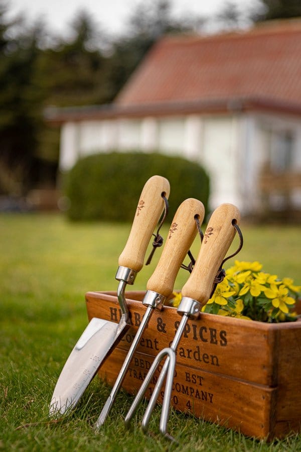 Sæt med 3 dele. "BAMBUS" - Blomsterverden